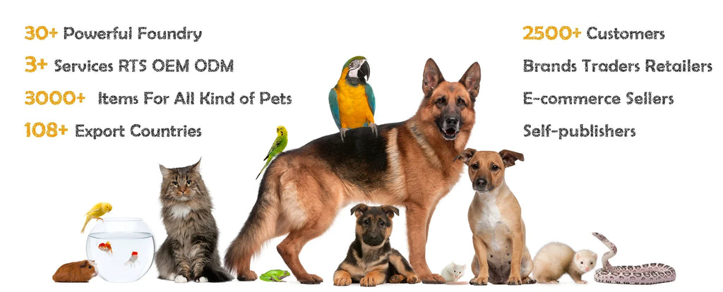 New Design Robot Vacuum Automatic Pet Hair Cleaning Strong Suction Smart Path Vacuum Cleaner For Pet Families