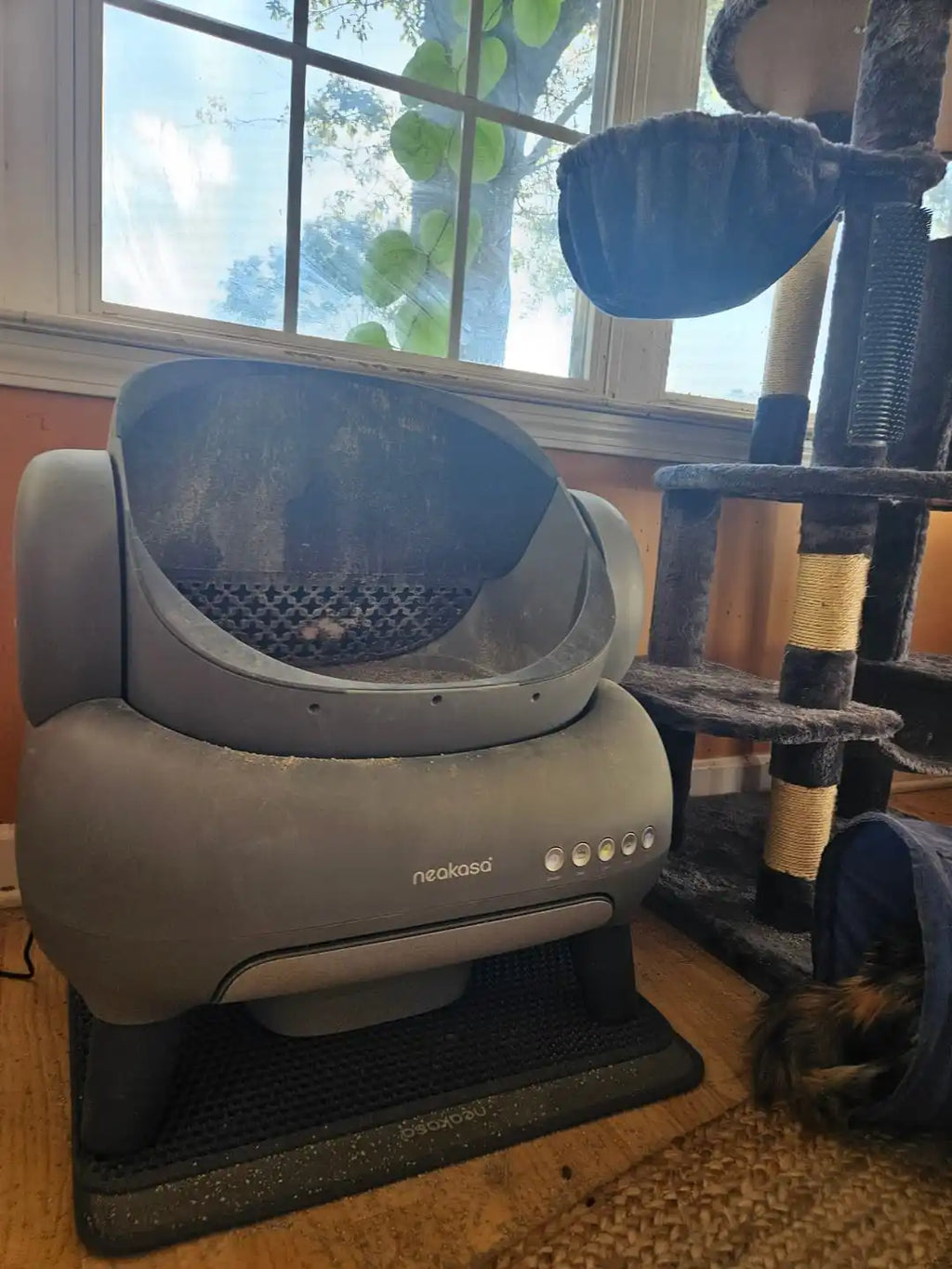 Vaporizador Neakasa Portátil