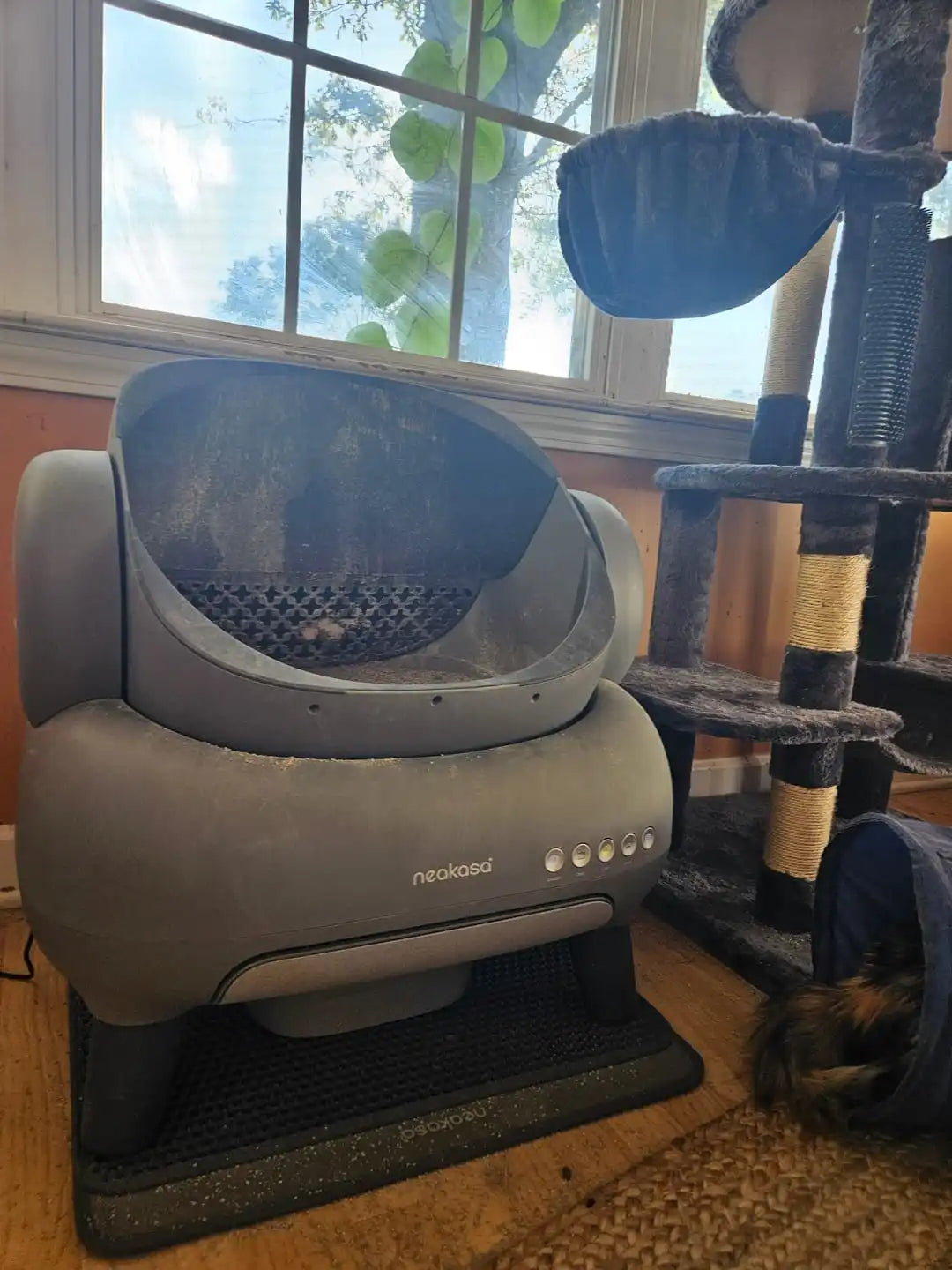 Vaporizador Neakasa Portátil