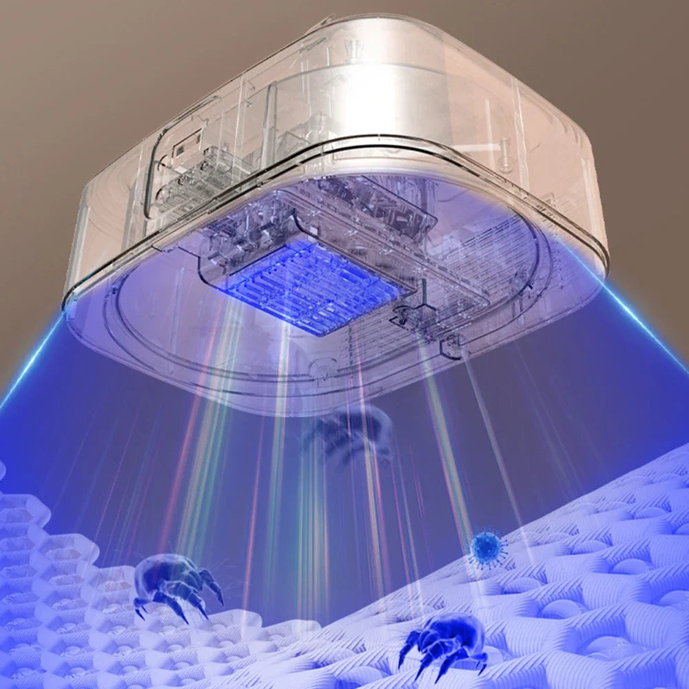 Secador Elétrico Portátil