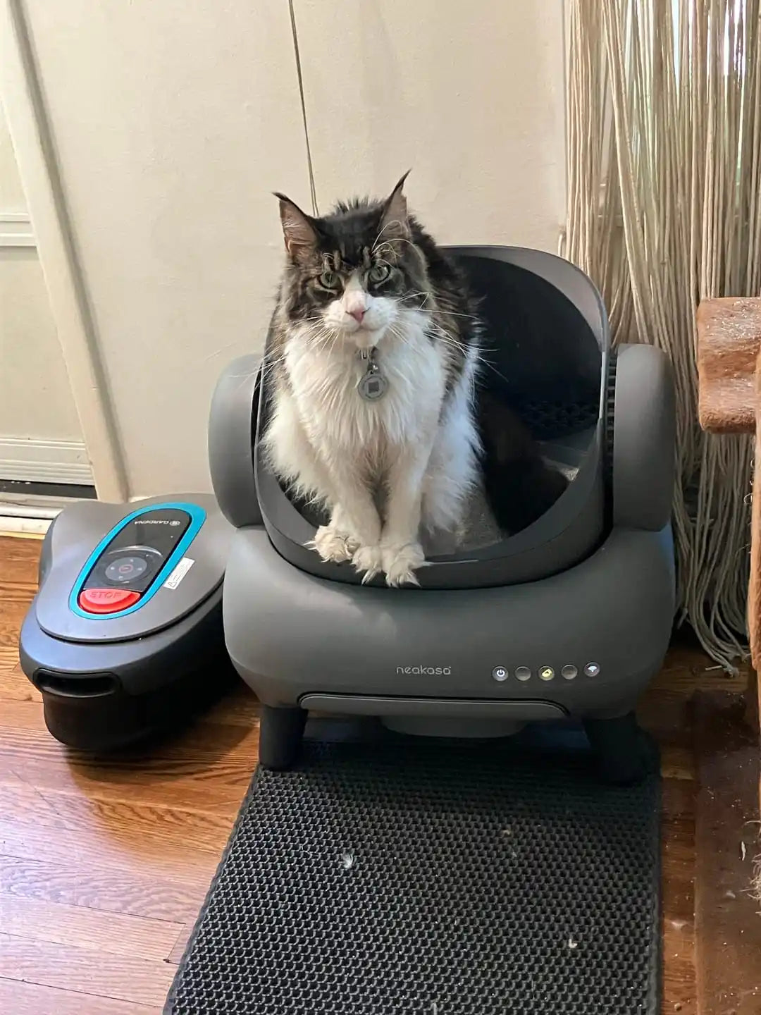 Vaporizador Neakasa Portátil