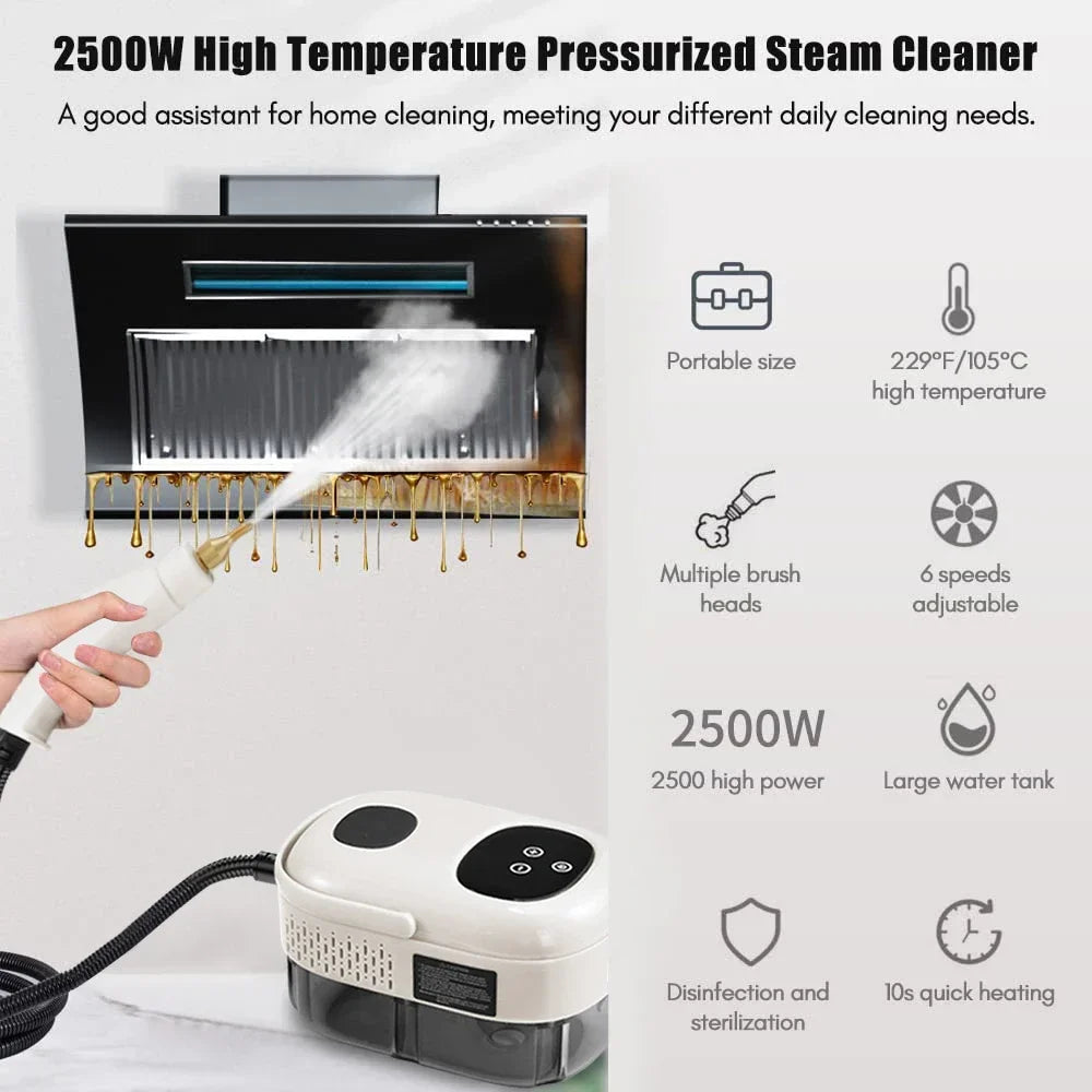 2500W Steam Cleaner High Pressure Sterilization Handhled Temperature Steam Mop Household Air Conditioner Kitchen Hood Car Cleani