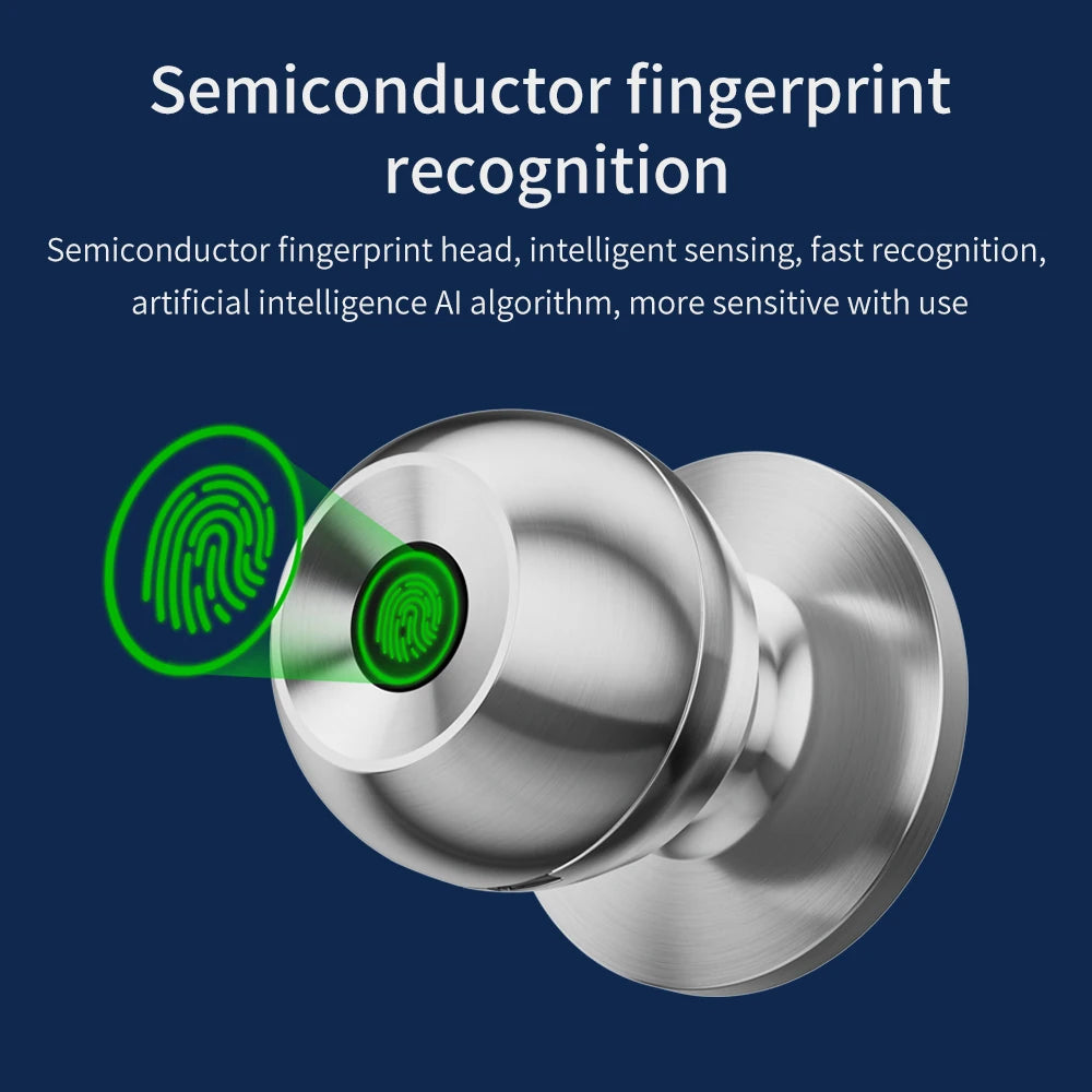 Fingerprint Safe Electronic Lock Door Handle Stainless Steel Round Door Knob Rotation Lock Doorknob Lock with Key Tuya App Home